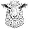 Mouton