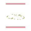 I love Christmas