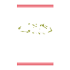 Joyeux Noël