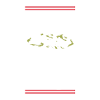 X-Mas Cookies Team