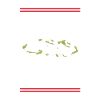 X-Mas Team