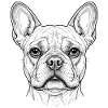 French Bulldog Dog