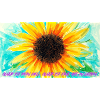 Sonnenblume Farbrausch Kunst
