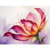 Water-coloured blossoms