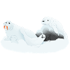 Tazz Talks | Arctic Slumber Seals