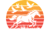 Oiseaux Et Chevaux Équitation Cavalier Équestre