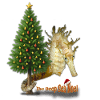 Season's Greetings from the Reef