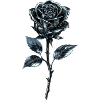 Metallic Blue Rose