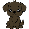Brauner Hundewelpe