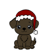 Dog with Santa Hat