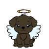 Dog with halo