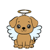 Dog with halo