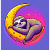 Sloth sleeps on the Moon