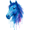 Cheval Aquarelle - Equitation