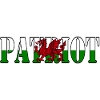 Welsh Patriot Pride