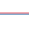 Gouda