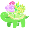 Plant Cactus Cacti