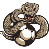 Kobra Fußball