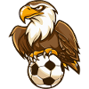 Eagle Kick Football Motif