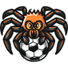 Spider on soccer ball