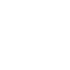 Speed Within