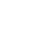 Läuft bei mir Rückwärts Bergab