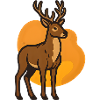Deer in orange heart background