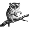 Coffee Tarsier