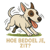 Bullterrier lustig