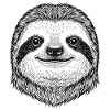 Sloth