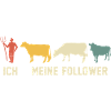 I mean followers cows cow