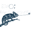 Flycatcher Chameleon