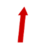 Là où je suis devant - Chemise