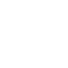 Cat Lover