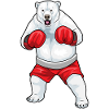 Eisbär Boxer Boxhandschuhe Boxen