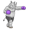 Nashorn Boxer Boxhandschuhe Boxen