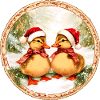 Duckling Christmas