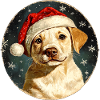 Weihnachtsmann Collie