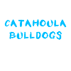 Catahoula Bulldog