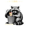 Funny Raccoon
