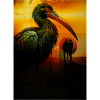 Vogel