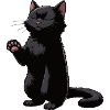 Funny Cat Cats Cat Lover Kitten