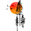 Sunrise and forest