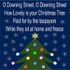 Taxpayer Christmas Tree at Downing Street