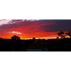 Sunset Silhouette Over City