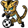 Cheetah Football Comic