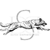 Dutchie - Holländischer Schäferhund