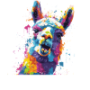 Llama Farbexplosion