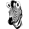 Zebra Zebra Head T-shirt Gift