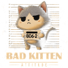 Bad Kitten Attitude